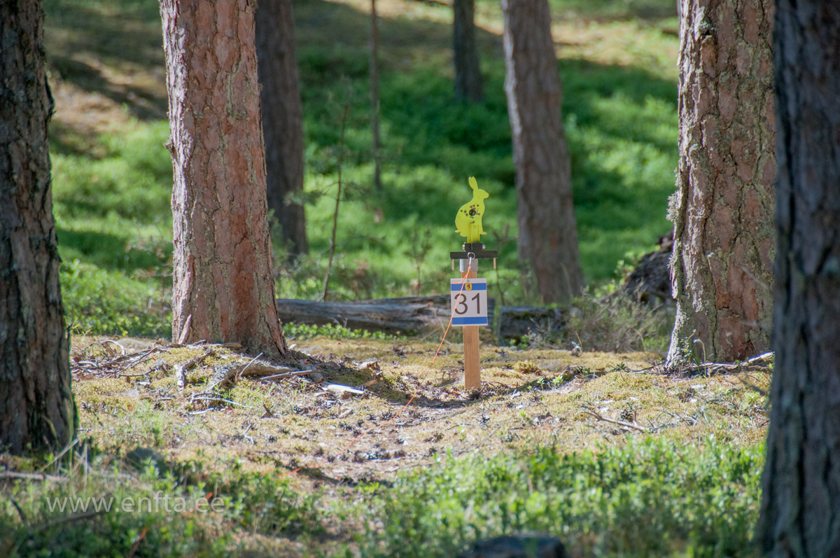 412 Rabbit on the run